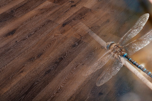 Natura Original Дуб Брабант (Brabant) R-010-09