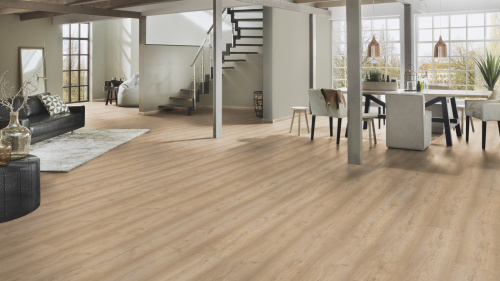 Kronospan Victory Beauty 833 4V Дуб Пастельный