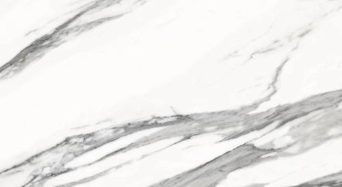 Primavera Alcor Light grey Matt 30x60 NR008