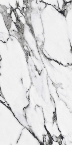 Primavera Fantasy Black Polished PR226