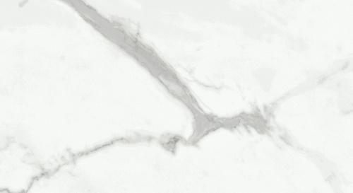 Primavera Dalim white Matt 30x60 NR004
