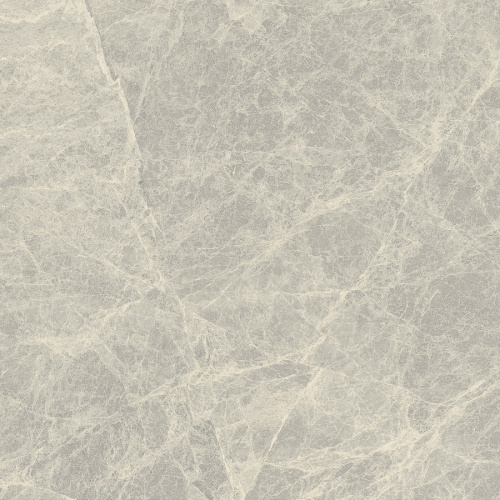 Primavera Mizar Light grey Matt 60x60 NR102