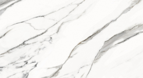 Primavera Alcor Light grey Matt 30x60 NR008