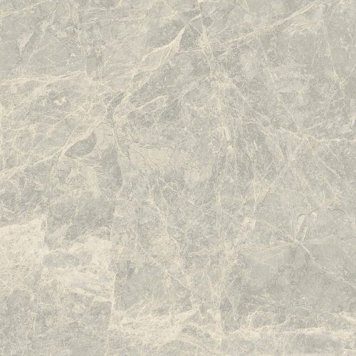 Primavera Mizar Light grey Matt 60x60 NR102