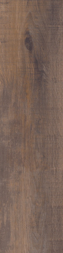 Primavera «Дерево» Taiga Wenge WD04