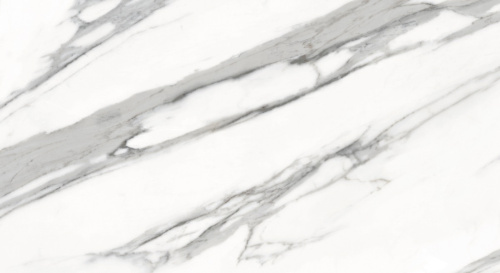 Primavera Alcor Light grey Matt 30x60 NR008