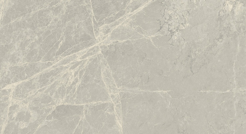 Primavera Mizar Light grey Matt 30x60 NR002