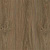 Tarkett Trophy 833 Гранада Tarkett Trophy 833 Гранада