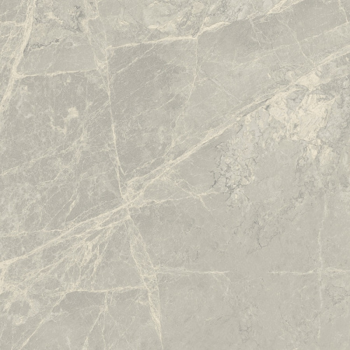 Primavera Mizar Light grey Matt 60x60 NR102