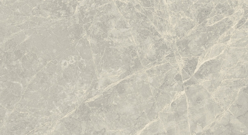 Primavera Mizar Light grey Matt 30x60 NR002