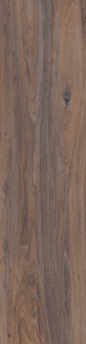 Primavera «Дерево» Taiga Wenge WD04