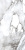 Primavera Acacia Polished PR221 Primavera Acacia Polished PR221