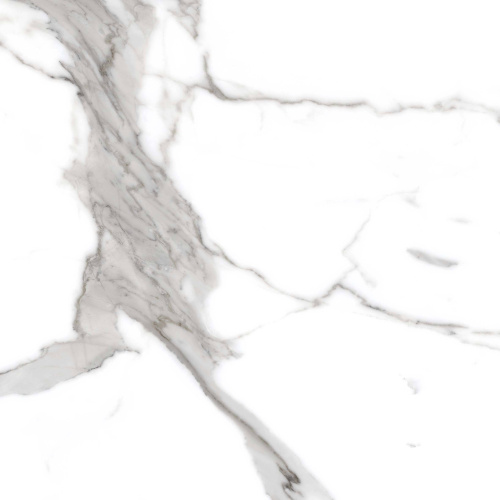 Primavera Salvatore Polished PR207