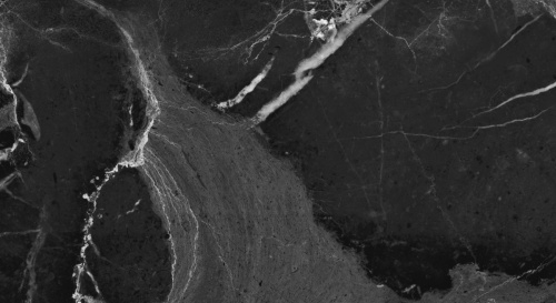 Primavera Dalim Black Matt 30x60 NR005