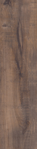Primavera «Дерево» Taiga Wenge WD04