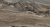 Primavera Botein Dark orobico Matt 30x60 NR010 Primavera Botein Dark orobico Matt 30x60 NR010