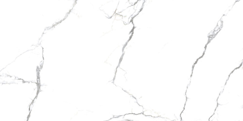 Primavera Acothly Polished PR234 Primavera Acothly Polished PR234