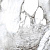 Primavera Acacia Polished PR221 Primavera Acacia Polished PR221
