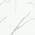Primavera Dalim white Matt 60x60 NR104 Primavera Dalim white Matt 60x60 NR104