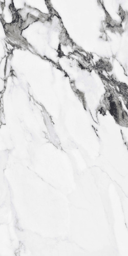 Primavera Fantasy Black Polished PR226