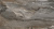 Primavera Botein Dark orobico Matt 30x60 NR010 Primavera Botein Dark orobico Matt 30x60 NR010