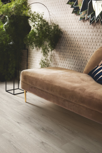 PERGO Regid Glomma pro Дуб непокорный