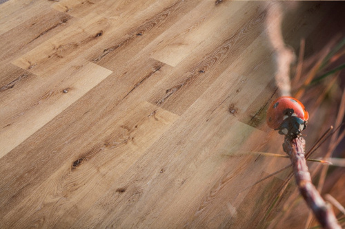 Natura Original Дуб Куртуа (Courtois) R-010-04