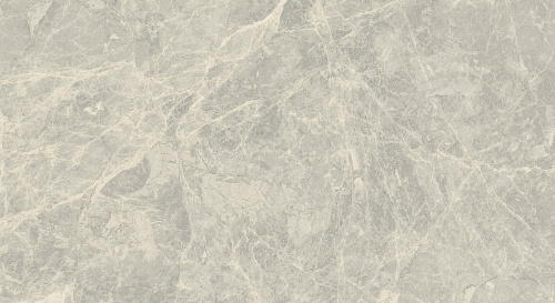 Primavera Mizar Light grey Matt 30x60 NR002