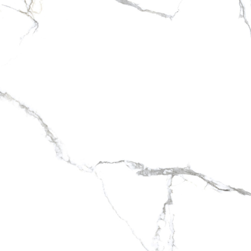 Primavera Acothly Polished PR150