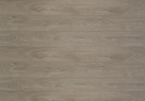 Ламинат Camsan Avangard Plus Дуб Дунай