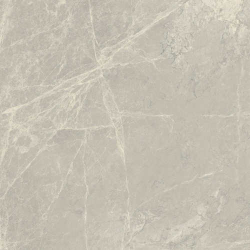 Primavera Mizar Light grey Matt 60x60 NR102
