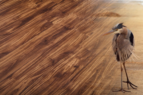 Natura Original Орех Франэ (Fragnee) C-001-12