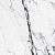 Primavera Fantasy Black PR127 Primavera Fantasy Black PR127