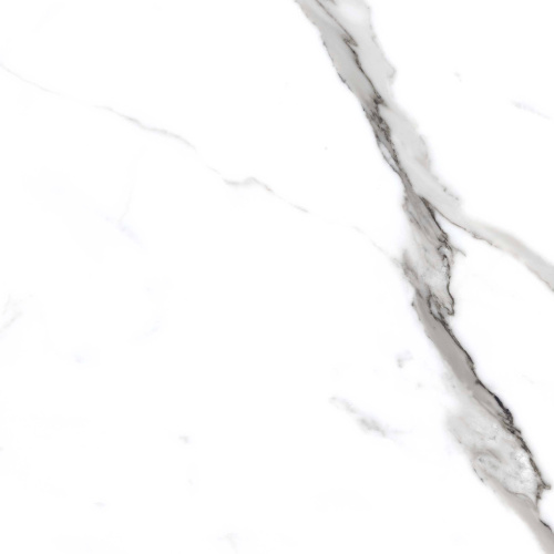 Primavera Salvatore Polished PR207