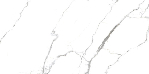 Primavera Acothly Polished PR234 Primavera Acothly Polished PR234