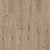 PERGO Regid Glomma pro Дуб Мерлин цветной Arbiton Amaron Wood Design Дуб Грантс